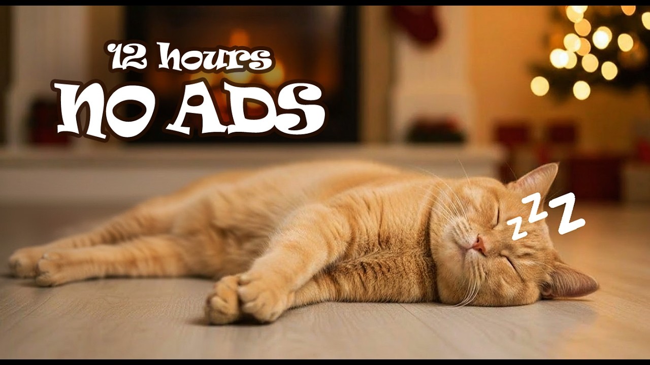 12 Hours UNINTERRUPTED Piano Cat Music Home Alone 😺 Deep Relaxation Therapy for Cats