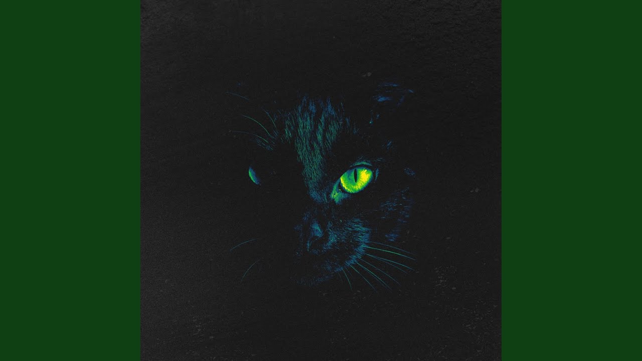 Watch PLATFORM on YouTube Watch PLATFORM on YouTube