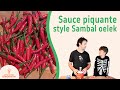 Recette de sauce piquante fermente style sambal oelek