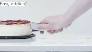 Cake Slicer and Server - Easy Addict