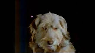 Big Loader Ad (1992 UK)