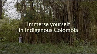 Indigenous Colombia Mmfa