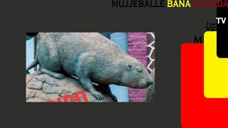 TUYIGE EBYOBUWANGWA BWA BUGANDA :EKIKA KYO MUSU