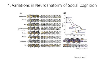 10.4. Neuroanatomy of Social Cognition, Fundamentals of Cognitive Neuroscience Course, Session 10