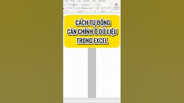 Tự động căn chỉnh ô trong excel 🥰🥰🥰