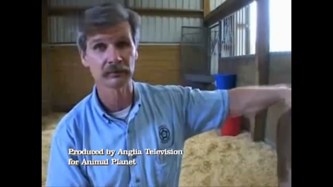 Animal Cops Houston Ending Credits 3x05 Little Miracle 