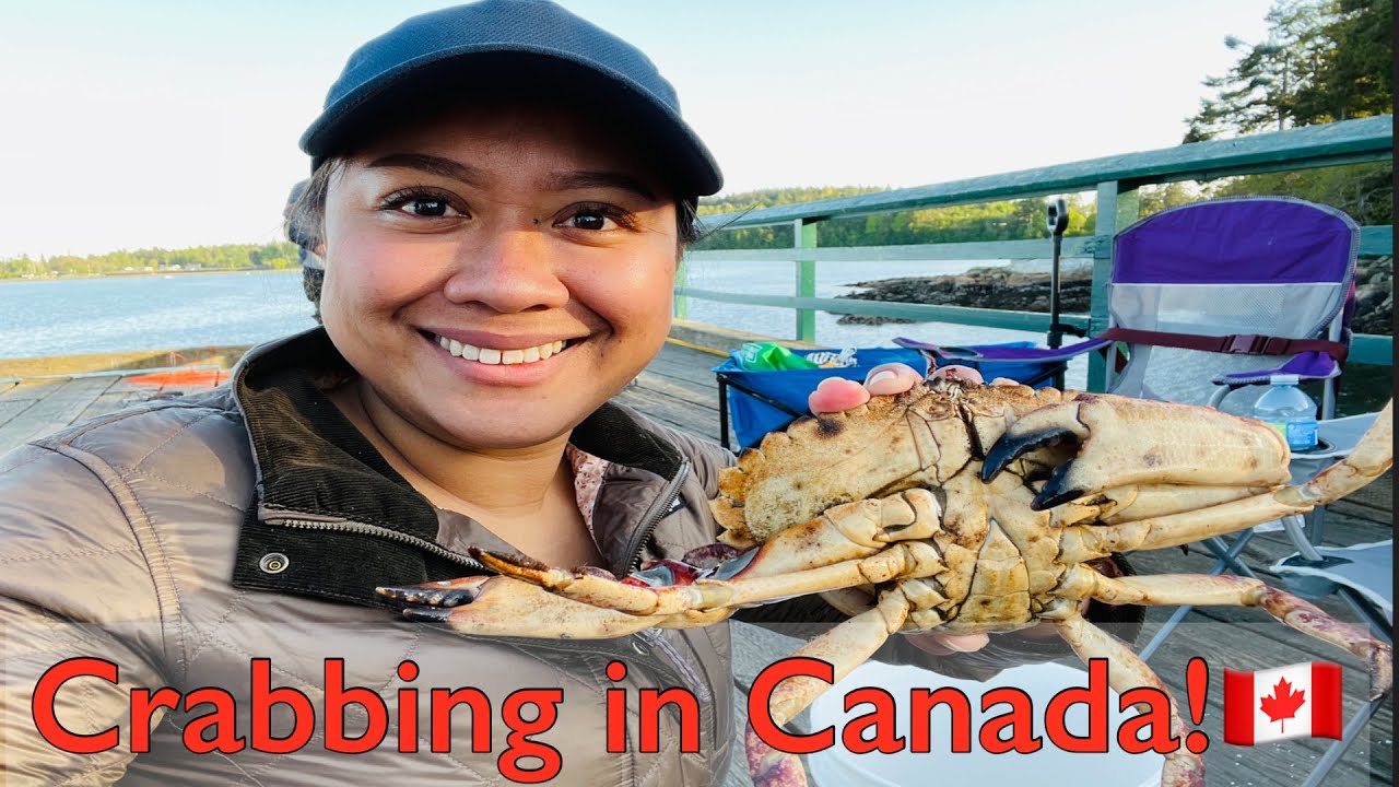 CRAB Fishing IN Vancouver Island, CANADA!🇨🇦crabbing YouTube