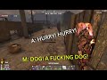End of video