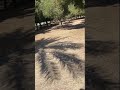 رحلة بحث عن افضل انمي في كون انمي اوتاكو رحلة بحث عن افضل انمي في كون انمي اوتاكو