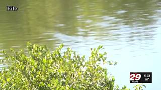 Drought watch declared for Charlottesville and Albemarle County