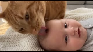 When Your Cat Treats The Child Like Their Own Kitten Cutest Moments Ever