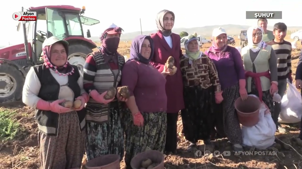 Vali Yiğitbaşı: Afyon patates üretiminde Türkiye'de üçüncü sırada