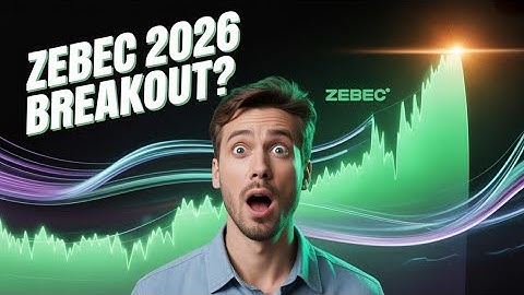 Zebec: The Real-Time Pay Protocol That Could EXPLODE in 2026