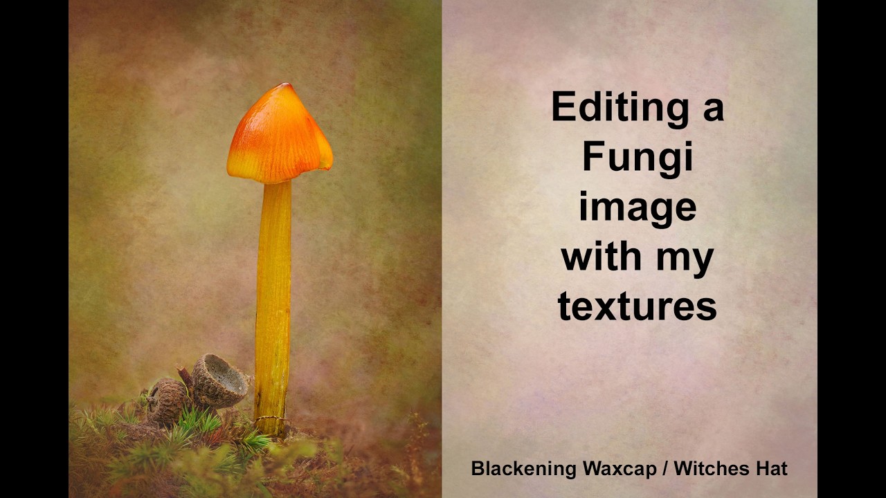 Muted Tones Waxcap Edit YouTube