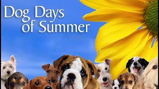 Dog Days of Summer