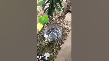 water tricks in malayalam #ebulljet #m4tech #shorts