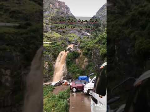 تلاوة بصوت يزيل الك رب من شده جمال الصوت من الشيخ ماجد العويري