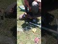 connecting a GI stand with a hdpe pipe via using a socket and male adapter of hdpe @mathiasplumbing