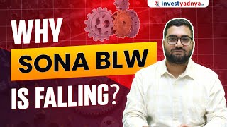 Will Sona BLW’s EV Strategy Pay Off Despite Global Challenges?