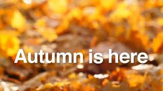 Autumn is here