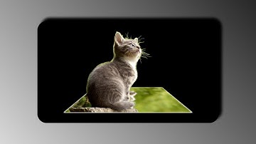 3d popup card using html and css only | ProgrammingTT