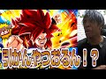ゴジータ4が来てガチャ回さん奴とかおらんやろがぃ！！！！