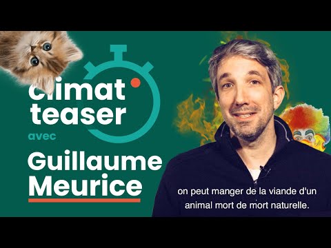 Les chatons, les clowns et la fin du monde / Climat teaser avec Guillaume Meurice