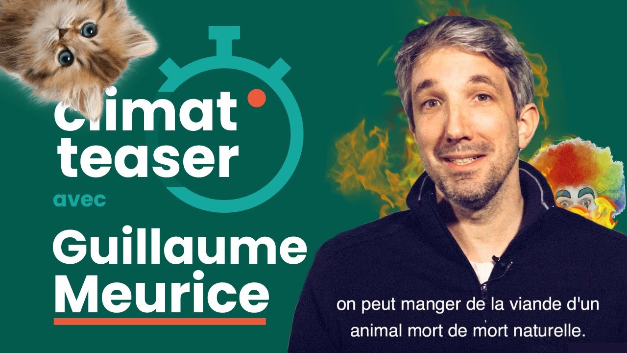 Les chatons, les clowns et la fin du monde / Climat teaser avec Guillaume Meurice