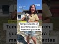 🐶 Empiezan las vacaciones y muchas guarderías para mascotas y plantas cuelgan el cartel de completo