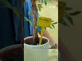 🐶 Empiezan las vacaciones y muchas guarderías para mascotas y plantas cuelgan el cartel de completo