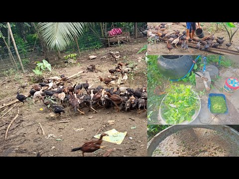 Video: Paano Makilala Ang Mga Organikong Pagkain