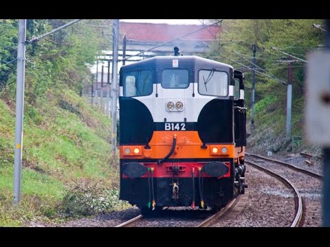 CIE & NIR Locomotives - B142 084 (8)113