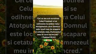 Adapost in umbra Celui Atotputernic #biblia #credinta #crestinism