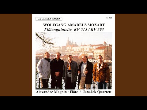 Sleduj String Quintet No. 5 in D Major, K. 593 (Arr. for Flute & String Quartet by Anonymous) : II. Adagio na YouTube