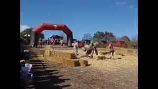 2011 Spartan Race Finish With Pugil Stick Rib Shot