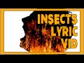 Miniature de la vidéo de la chanson Insects