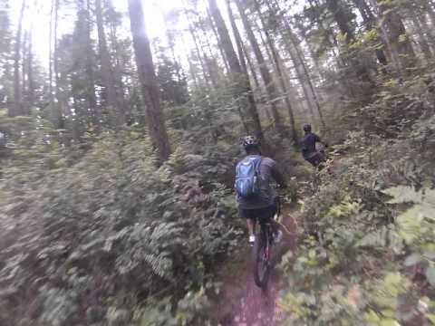 Banner Forest Biking Youtube