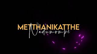 Nadhilla Nadhilla Song In Telugu What App Status