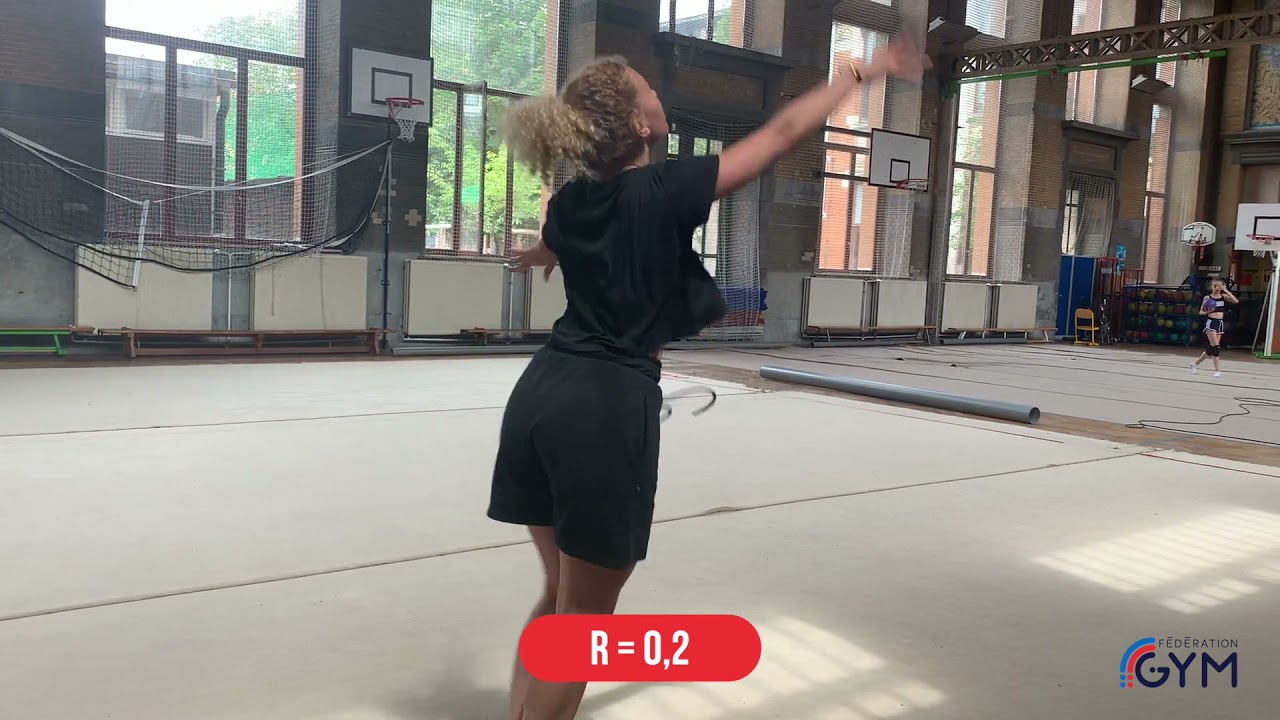 GR - Chorégraphie de référence Niveau D 11 ans Ballon