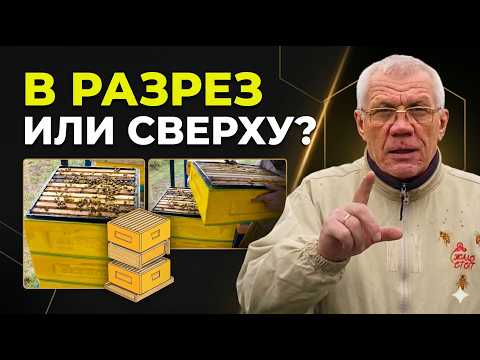 Как не потерять МЁД? Главная ошибка: в разрез или сверху?