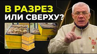 Как не потерять МЁД? В разрез или сверху? Главная ошибка