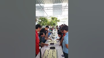 Quang Cảnh Giải Cờ Tướng CLB Công đài Mở Rộng Lần 2 - Tranh Cúp Việt Tiến #shorts