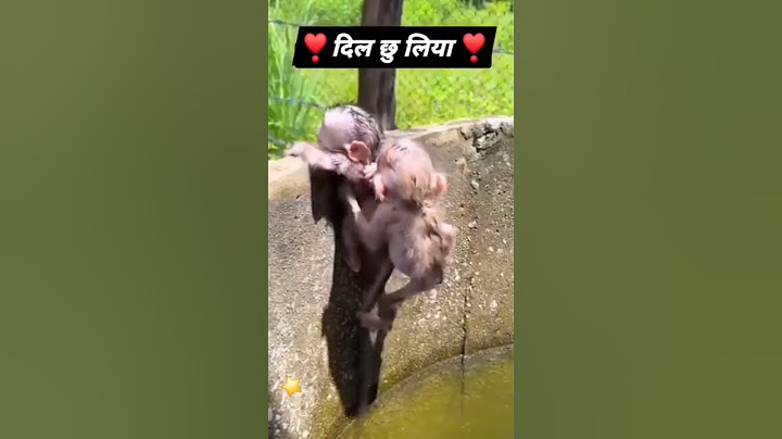 Fighting for a post is one thing but if you want to pull your society out of the well, then you should fight like this.