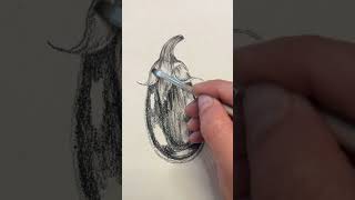 How To Draw Eggplant I Step By Step Draw Eggplant I Easy Eggplant Sketch