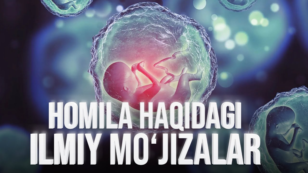 Homila zulukka o‘xshaydimi? | Allohning mo'jizalari 19-son