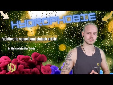 Hydrophobie | Fachtheorie