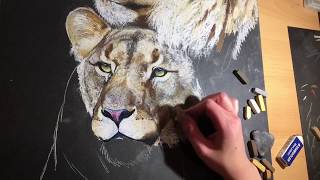 Lion and Lioness speed draw screenshot 4