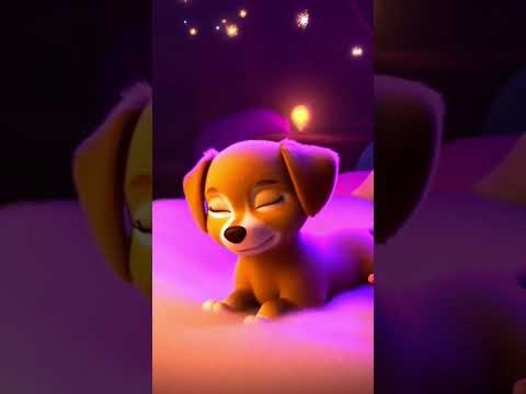 “Cómo ZenPup se