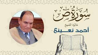 القارئ  الطبيب أحمد نعينع سورة ص Quran - Sheikh Doctor Ahmed Nainaa