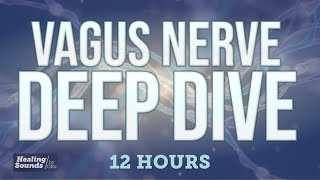 Vagus Nerve Deep Dive 🧠 | Somatic Reset for a Restless Body (12 Hours Black Screen)